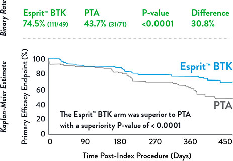 Primary Efficacy Endpoint Esprit BTK vs PTA